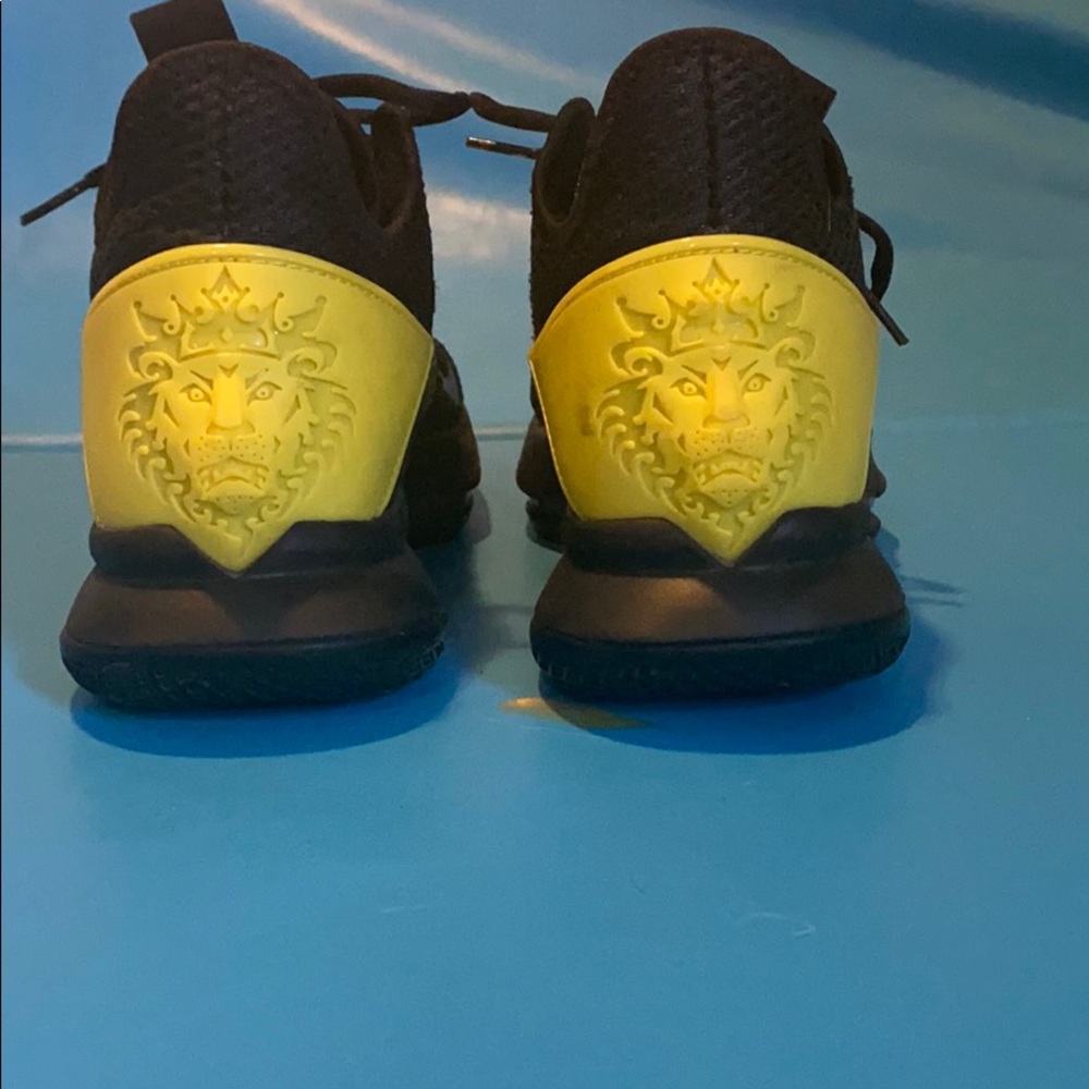 Lebron James basketball shoes